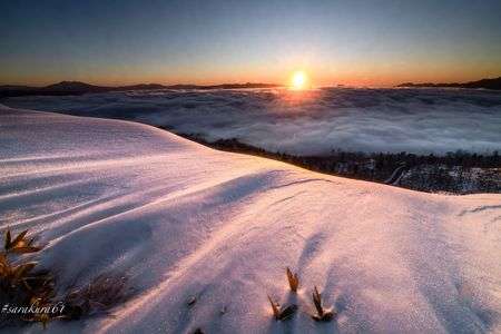 朝陽に照らされたシュカブラ。