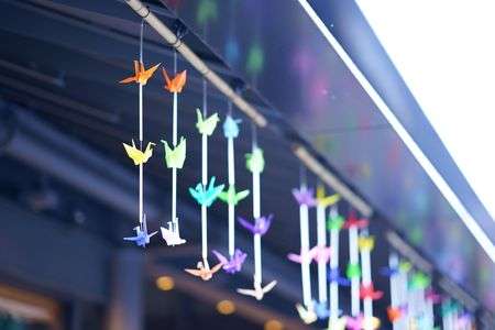 嵐山～渡月橋～天龍寺