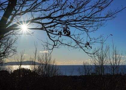 早春の伊豆の海
