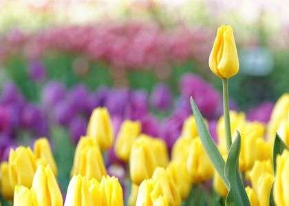 春が来た♪　春が来た♪