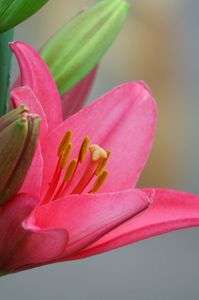 散歩道の贈り物