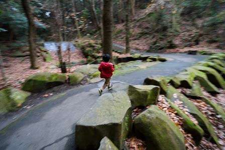迷いの森の工作員