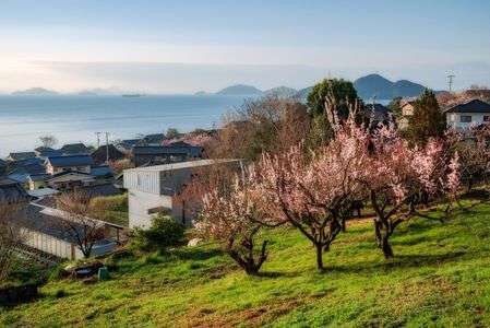 青と緑とピンク