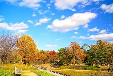 　初　冬　の　　　陽　だ　ま　り　（ベンチで一服）　。