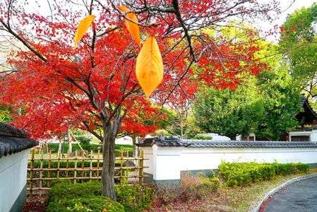 　秋　か　ら　　　　冬　へ　。