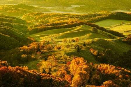 黄金色の本沢牧場