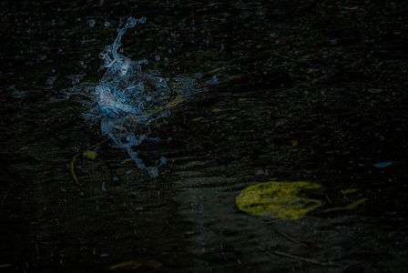 そろそろかな？