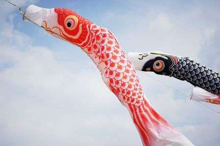 桜と菜の花フェスティバル