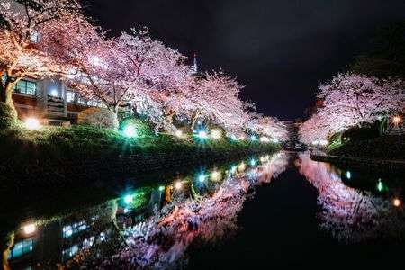 春爛漫！日本人の心♪