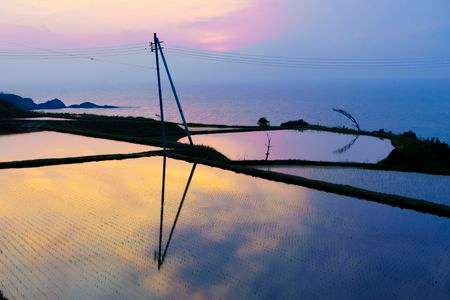夕暮れの水田（京都府京丹後市）