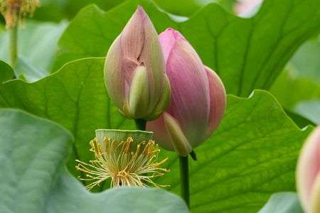 始まりと終わりと。