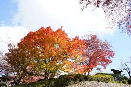 グラデーション！