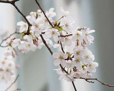酒が飲めるぞ〜！