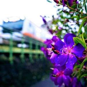 中央線が好きだ！