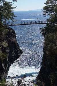 吊り橋と海
