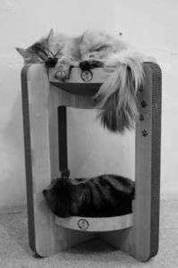 早く遊ぼうよー