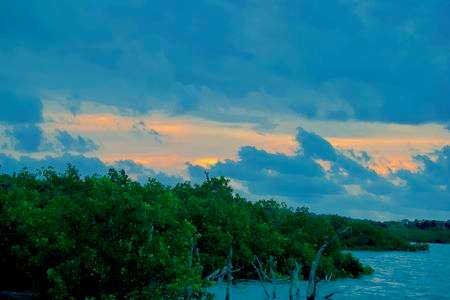 マングローブの朝焼け