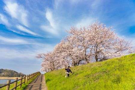 青とピンクと緑のコントラスト