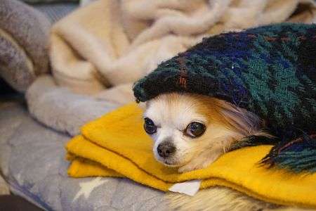 春はまだかな・・