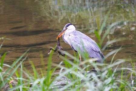 今日はご馳走　!(^^)!