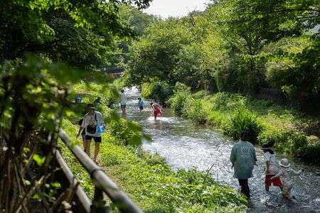 落合川いこいの水辺