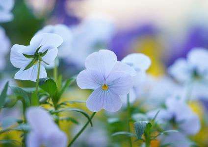 かわいすぎる！