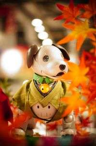 aiboを可愛く撮ろう！