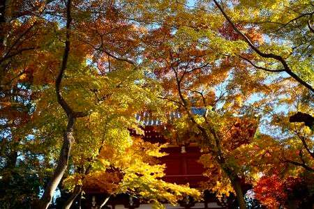 千葉　本土寺にて