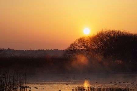 多々良沼の朝焼け