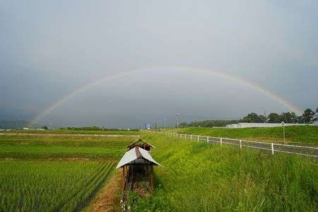 大きな虹