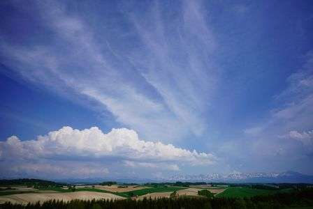 青空の美瑛☀️