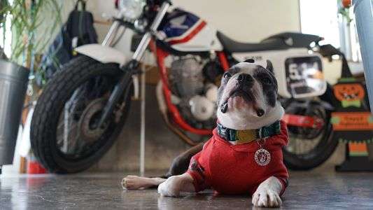 パパの仕事待ち