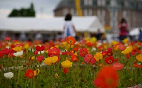 神戸キタキタ祭り
