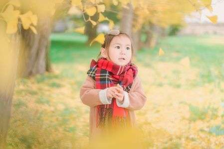 銀杏並木の下で