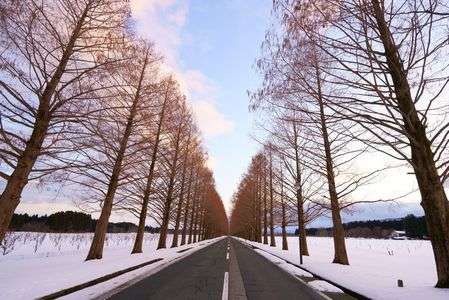 滋賀　マキノ④