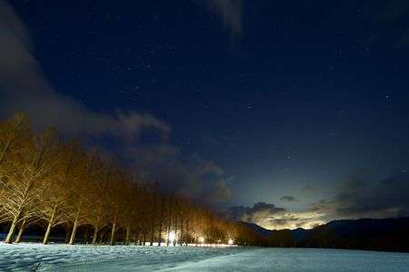 滋賀　マキノ⑧