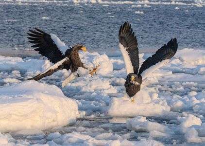 「よこせ」「やだよ」