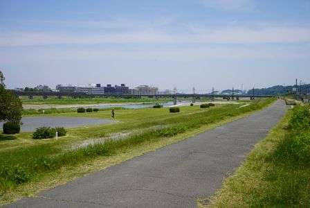 風薫る川辺の青葉水の音