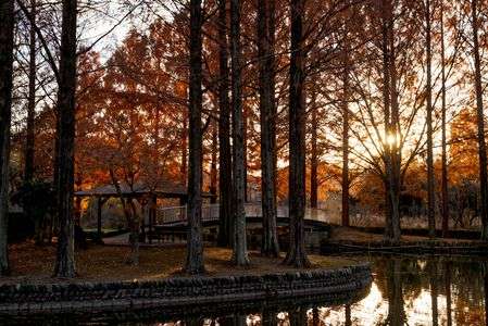 晩秋のエピローグ