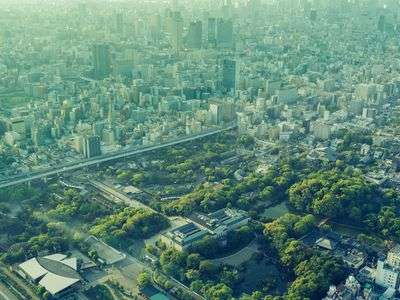 Forest standing in a group of buildings