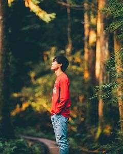 屋久島に差し込む光