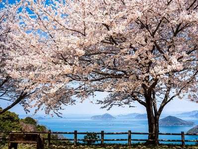 瀬戸内の春の香り part1