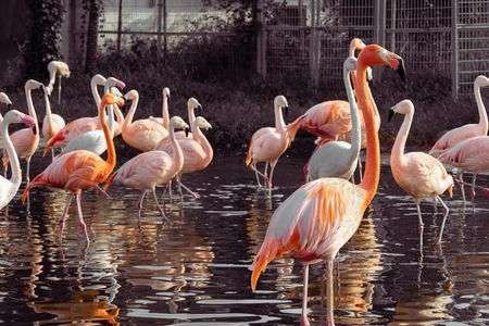 ふらふらふらみ・・・