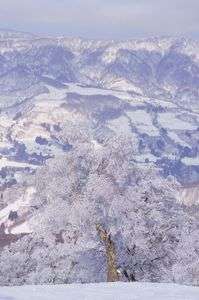 雪の野沢