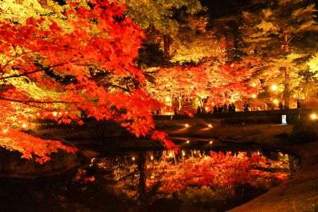 光と紅のコラボ