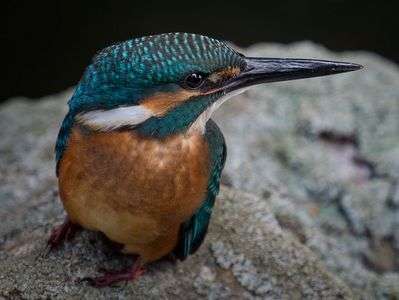 Into a world it has never known