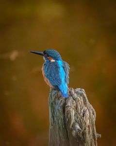 ブレイクタイム