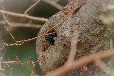 ナニカヨウデスカ？