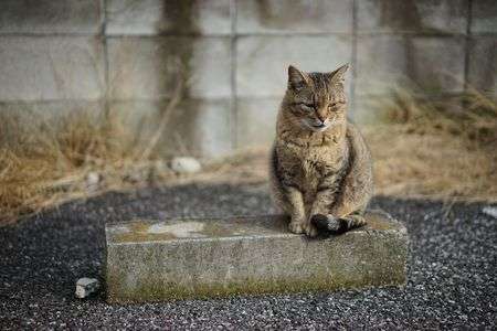 ひとり表彰台。