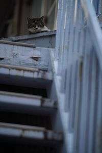 2階は入場料とるよ。